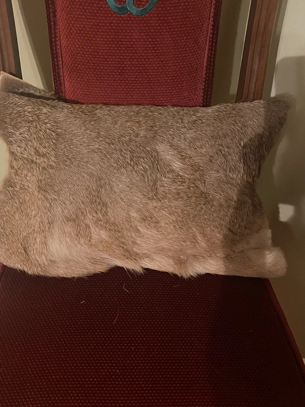 2 Authentic Deer Skin Pillows. True soft hide on underside of pillows.